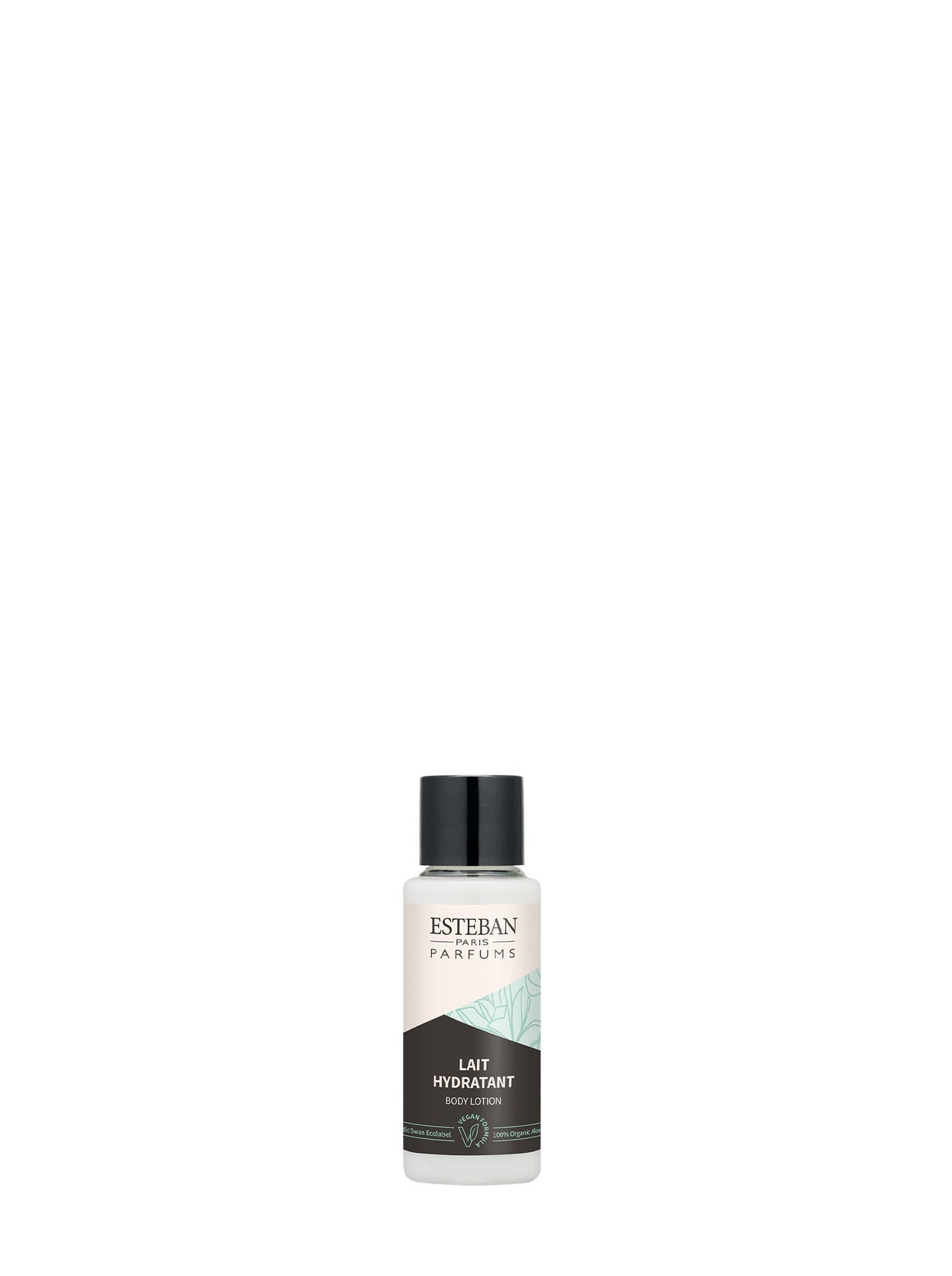 BODY LOTION